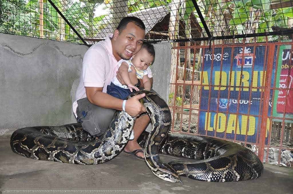 Holding a large snake in Bohol