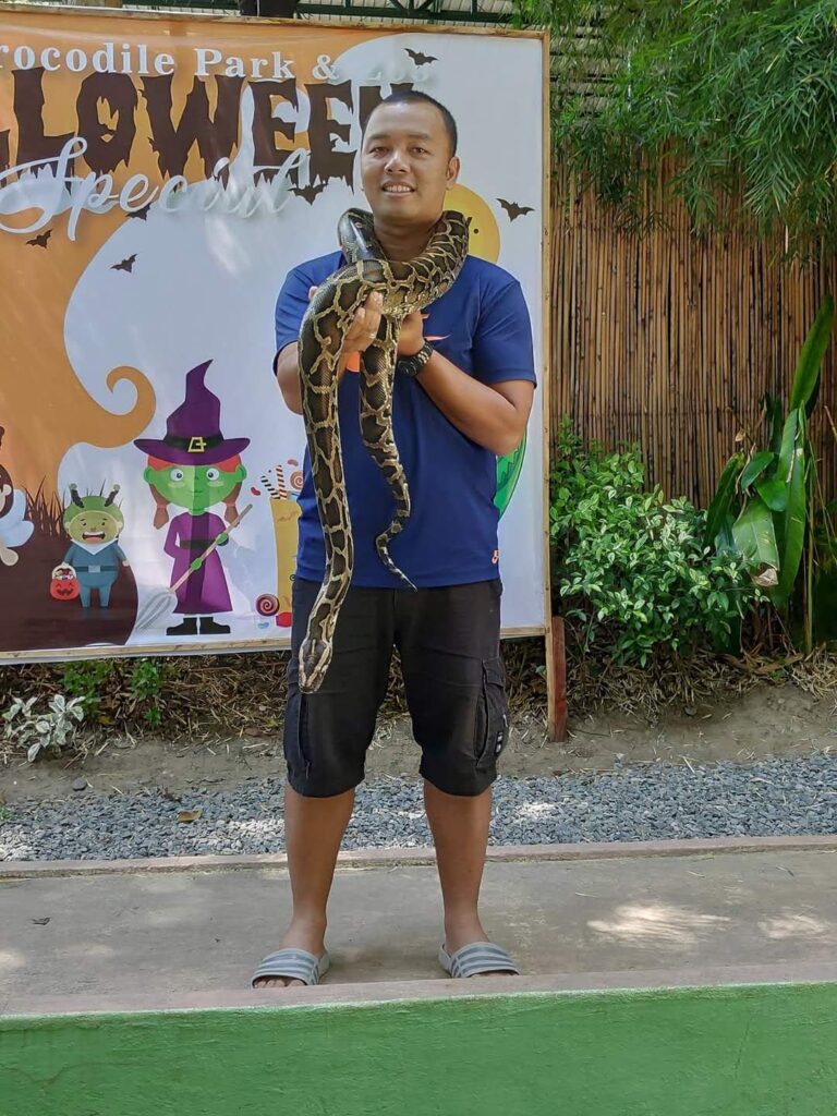 Large snake in Davao