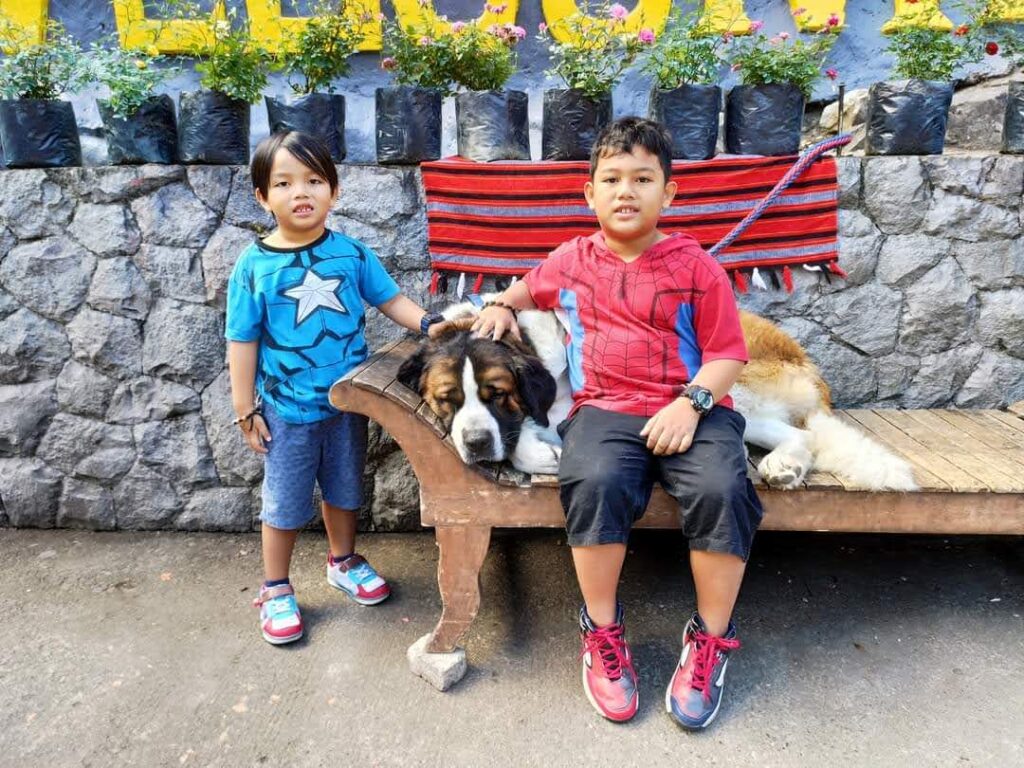 Big Dog in Baguio