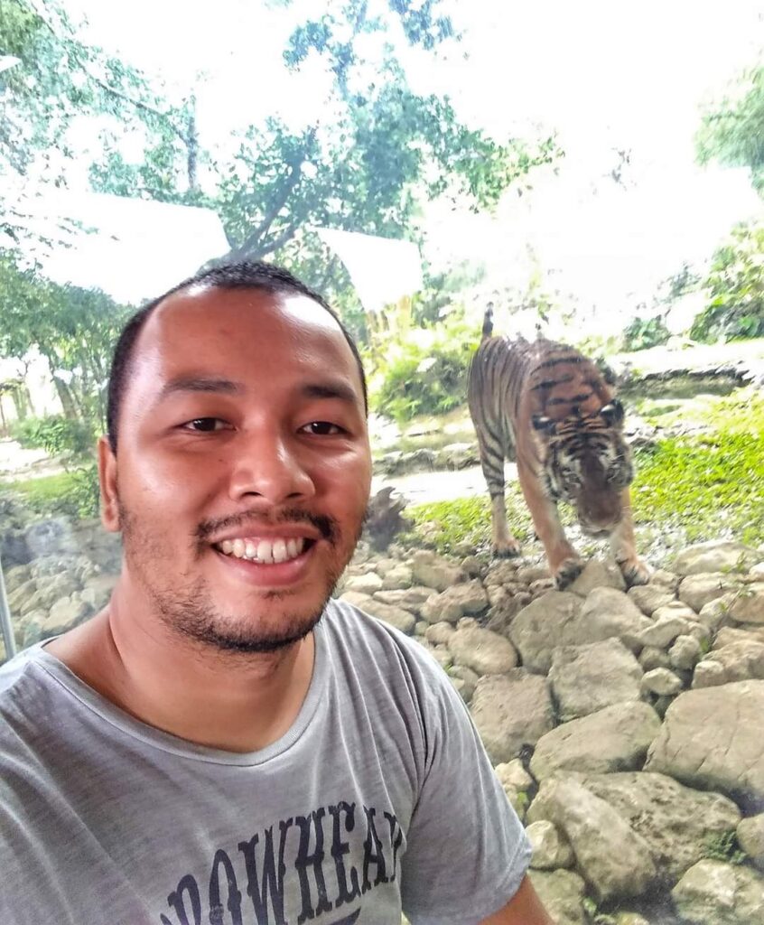 Tiger at the Background