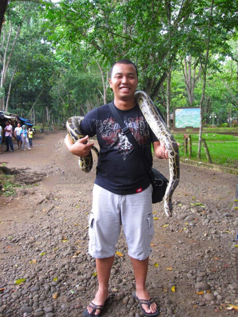 Big Snake in Davao