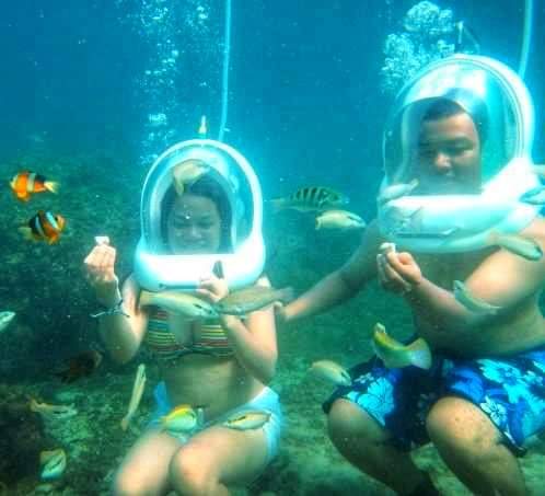 Clown Fishes and others during Helmet Diving