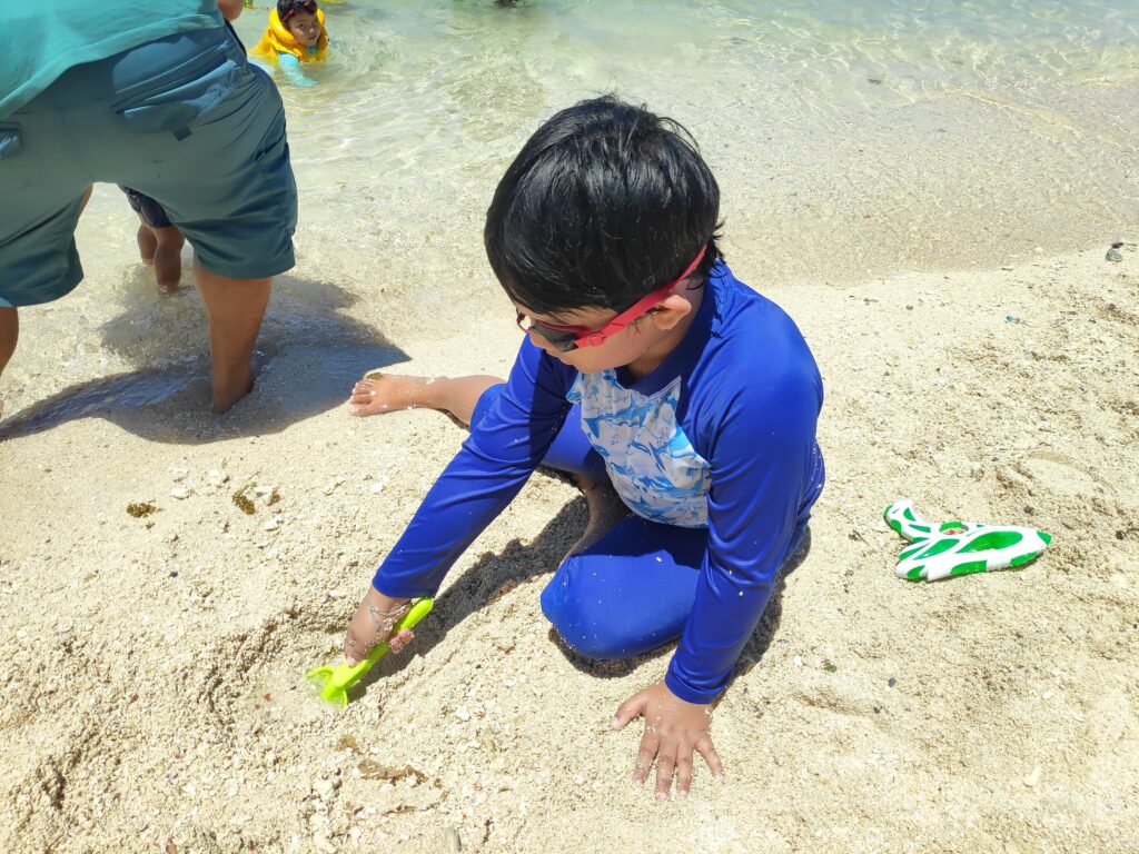 The Pristine White Sand